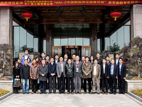 ��GM-Z��ѹ��֬��ע��Եĸ�ߡ���Ʒ�жϼ�Ч���������ֳɾ���
