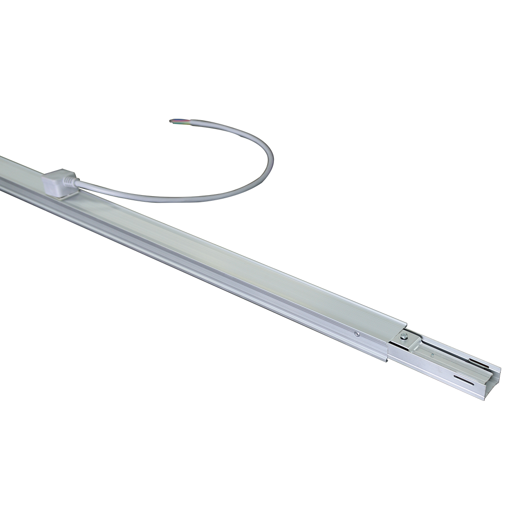 Pro L����ĸ��